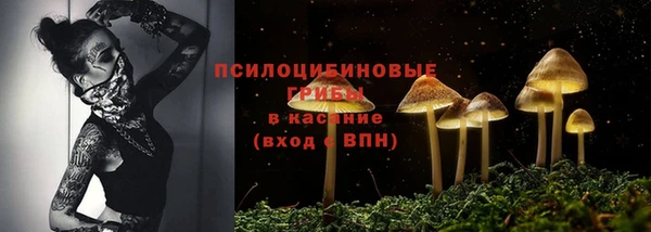 мет Армянск