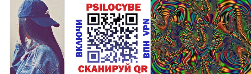 купить закладку  blacksprut онион  Псилоцибиновые грибы Psilocybine cubensis  Баксан 