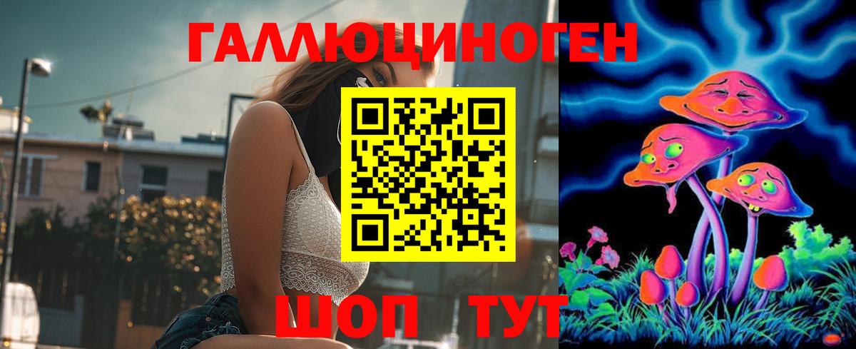 Псилоцибиновые грибы Cubensis Баксан