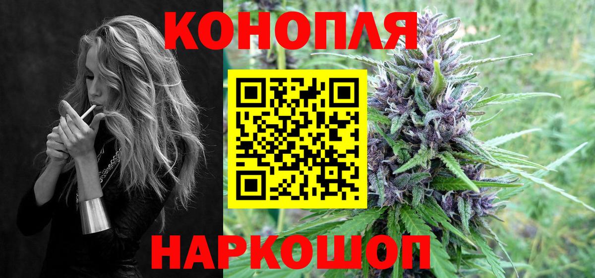 Каннабис сатива Баксан